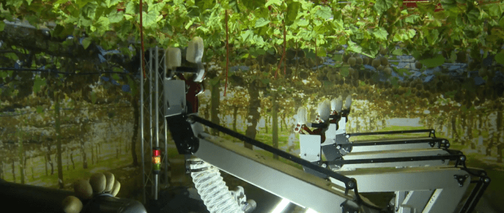 Recognising the Robot Revolution in Agritech